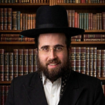 Rabbinical Advocate Bonem Blushtein