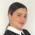 Adel Greenberg - Law Office