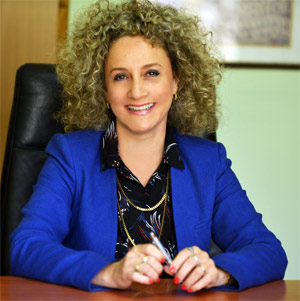Gila Perin Law Office