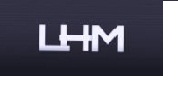 LHM Economic and Business Management and Consulting